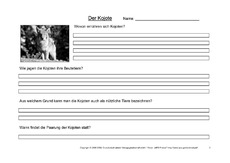 Kojote-Fragen-3.pdf